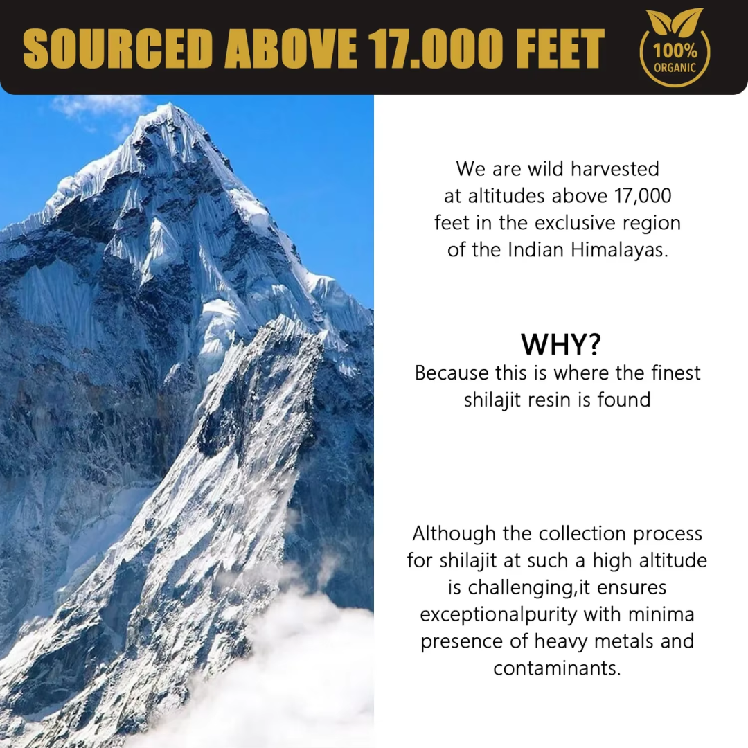 VitaMax™ Pure Shilajit